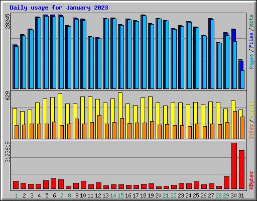 Daily usage for January 2023