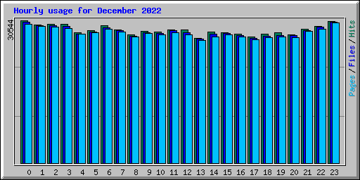 Hourly usage for December 2022