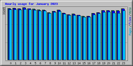 Hourly usage for January 2023