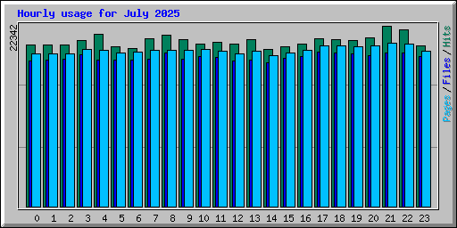 Hourly usage for July 2025