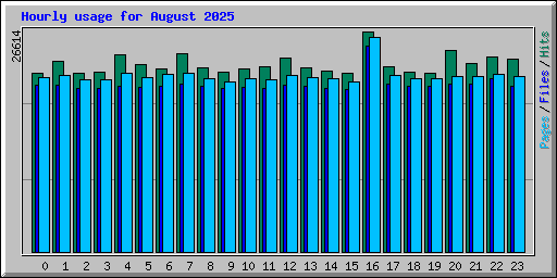 Hourly usage for August 2025
