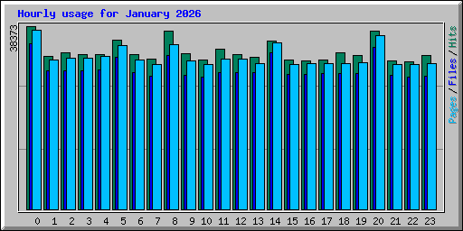 Hourly usage for January 2026